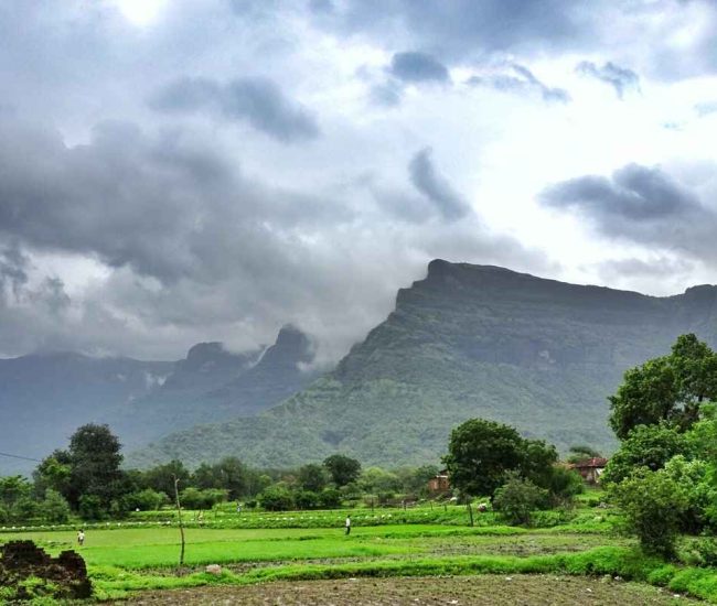 1500303559_dsc00732_01_11zon