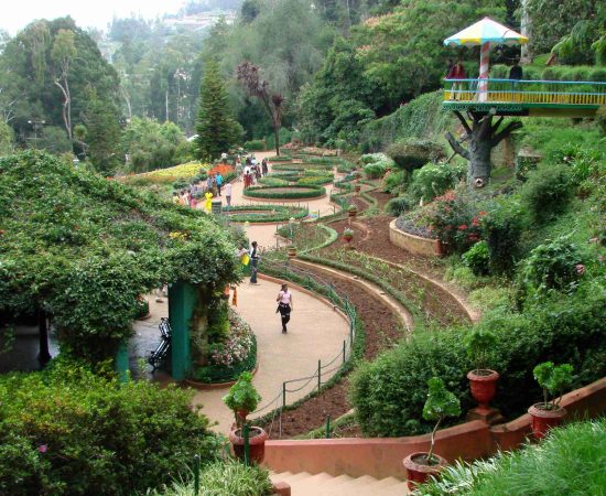 Ooty Tour