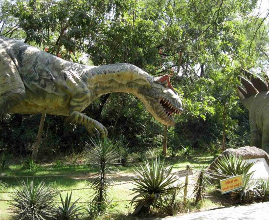 Educational Garden & Museum Tour