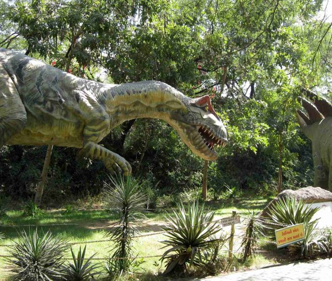 Educational Garden & Museum Tour