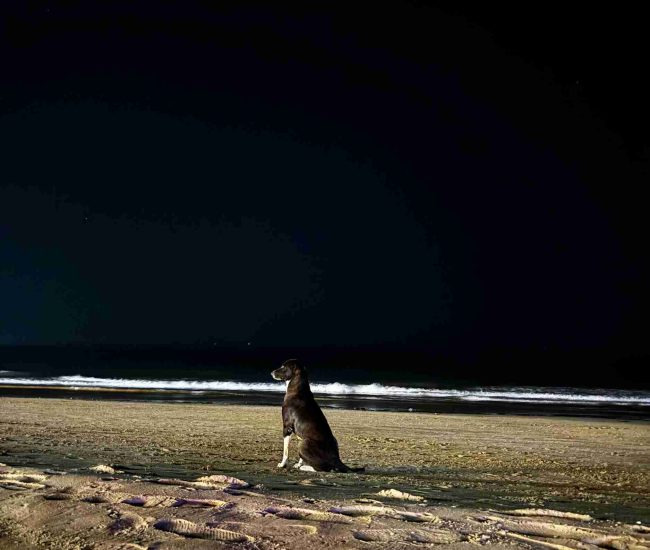 Tarkarli Malvan Tour