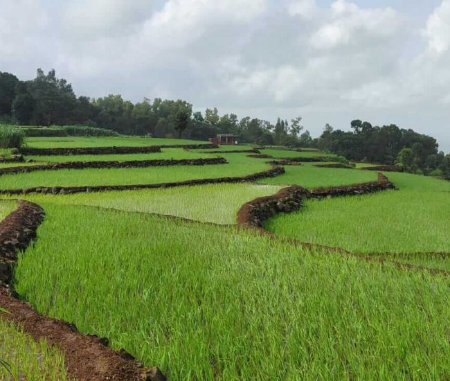 Panhala To Pawankhind Trek