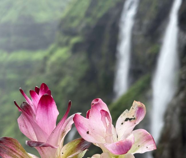 Lingya Ghat Waterfall Trek