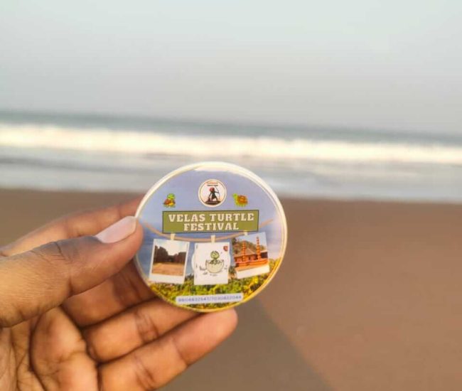 Velas turtle festival