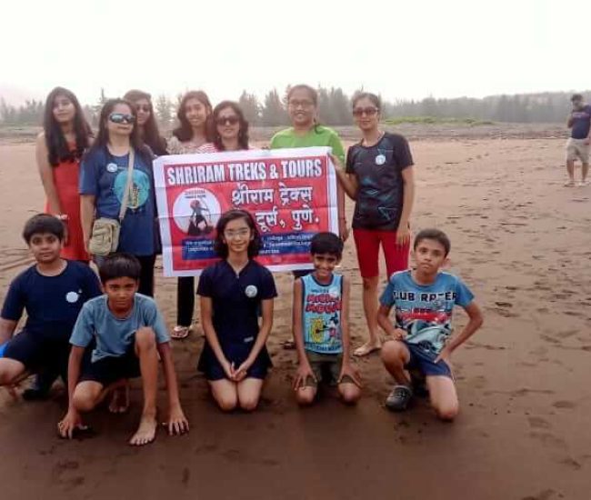 Velas turtle festival