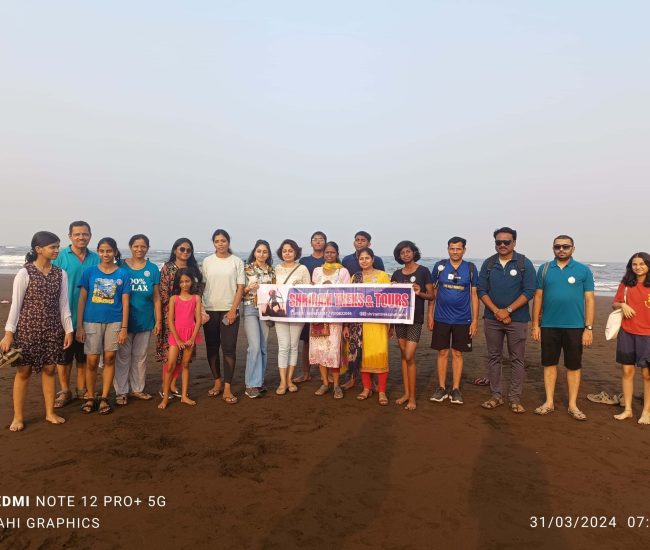 Velas turtle festival