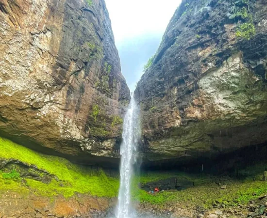 ab67c74d-6ce3-4db9-bed3-e72a75fb52ec