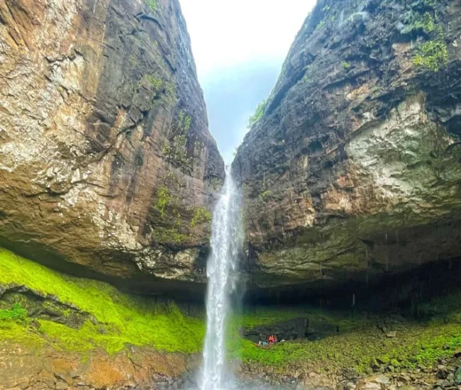 ab67c74d-6ce3-4db9-bed3-e72a75fb52ec