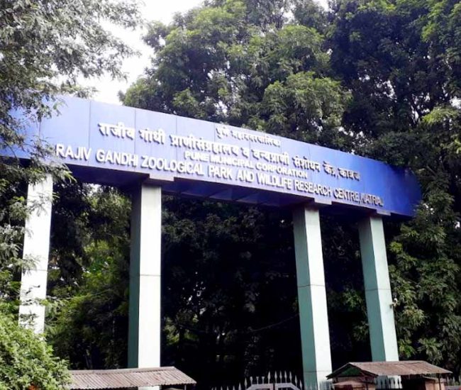 Educational Garden & Museum Tour